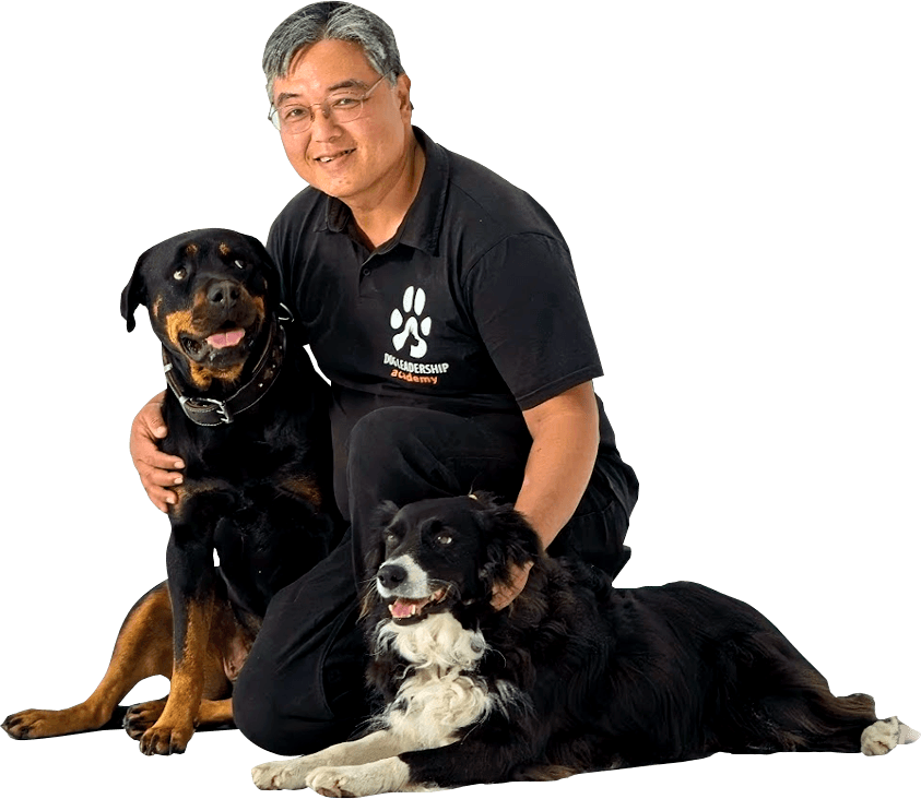 George Tran with his dogs